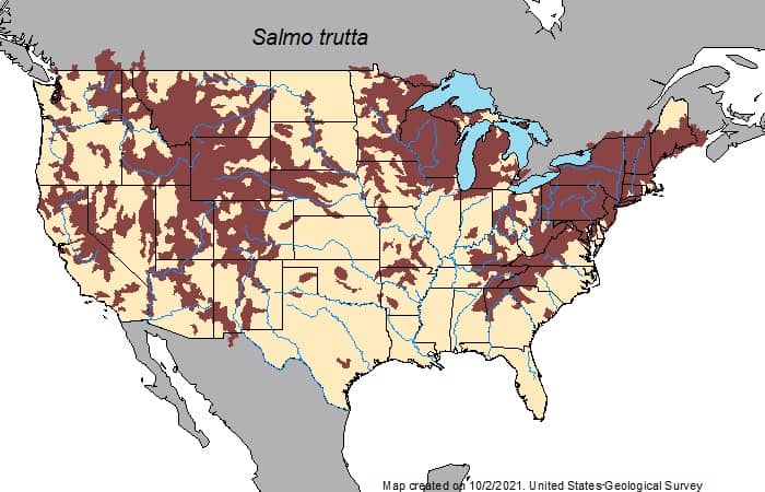 Brown trout range map