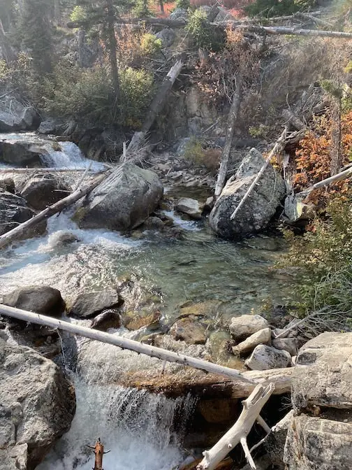 Fly fishing for trout in pocket water