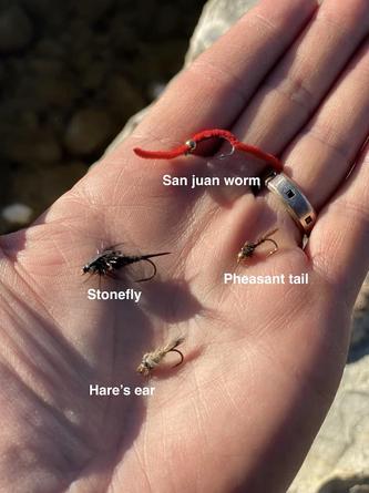 San Juan Worms –  – Fly Fishing Tips and Tactics