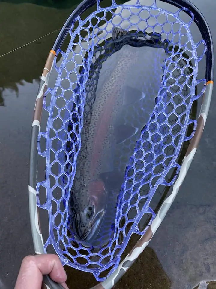 rainbow trout winter fly pattern