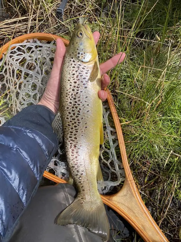 Fly Tying Tutorial: How to keep your dry fly FLOATING? 