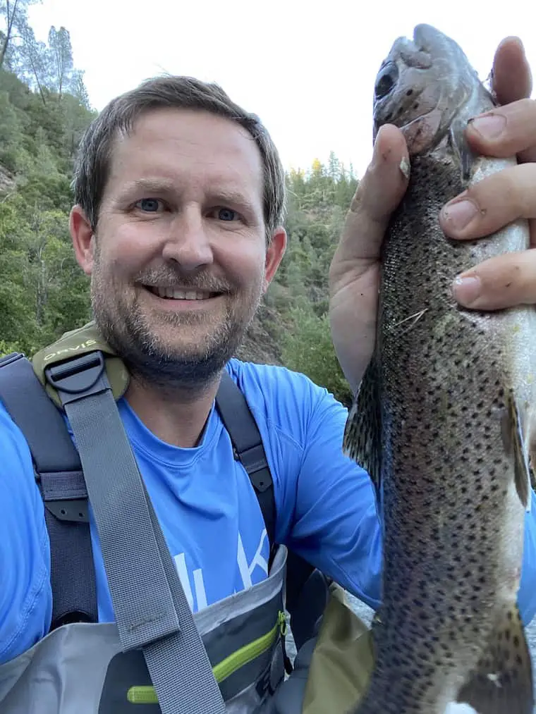 american river rainbow trout