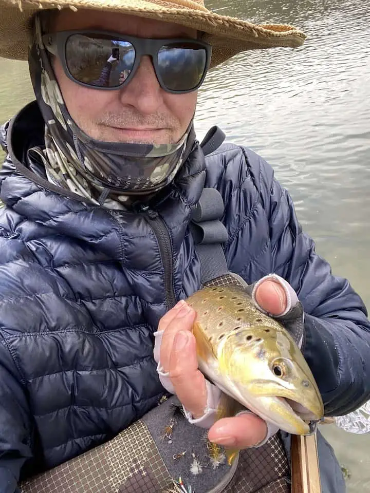 large brown trout with sparse black dots