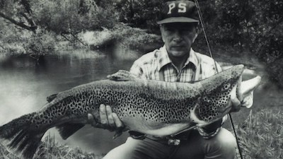 joe humphreys state record brown trout