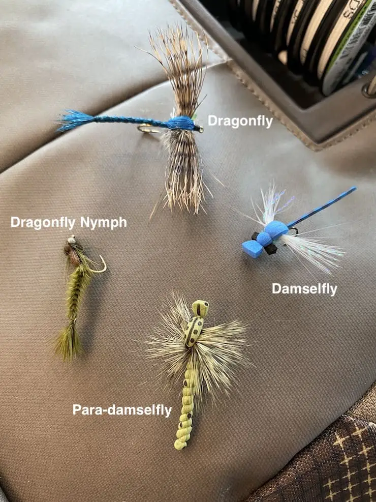 Best dragonfly and damselfly patterns for trout and largemouth bass fly fishing
