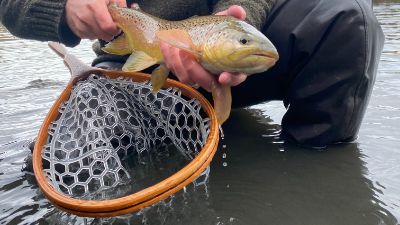 How to fly fish muddy water and spring runoff