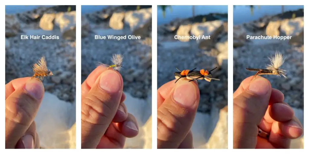 The Best Brown Trout Flies and Patterns An Angler's Review Sipping