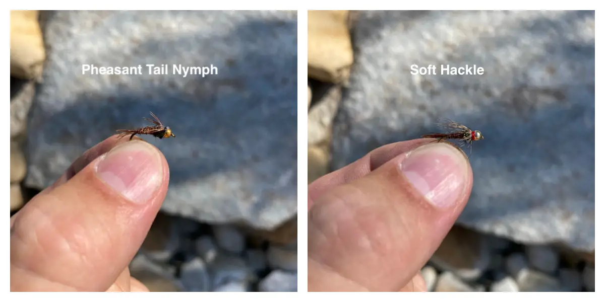 Nymphs for smallmouth bass (Micropterus dolomieu)