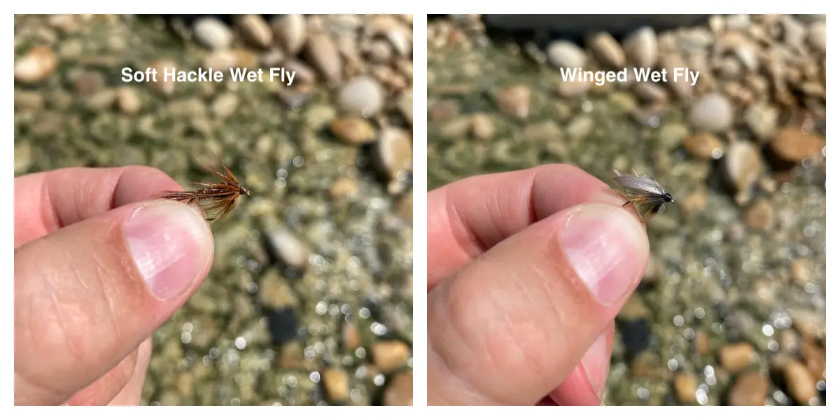 Wet flies for brown trout - soft hackle vs winged