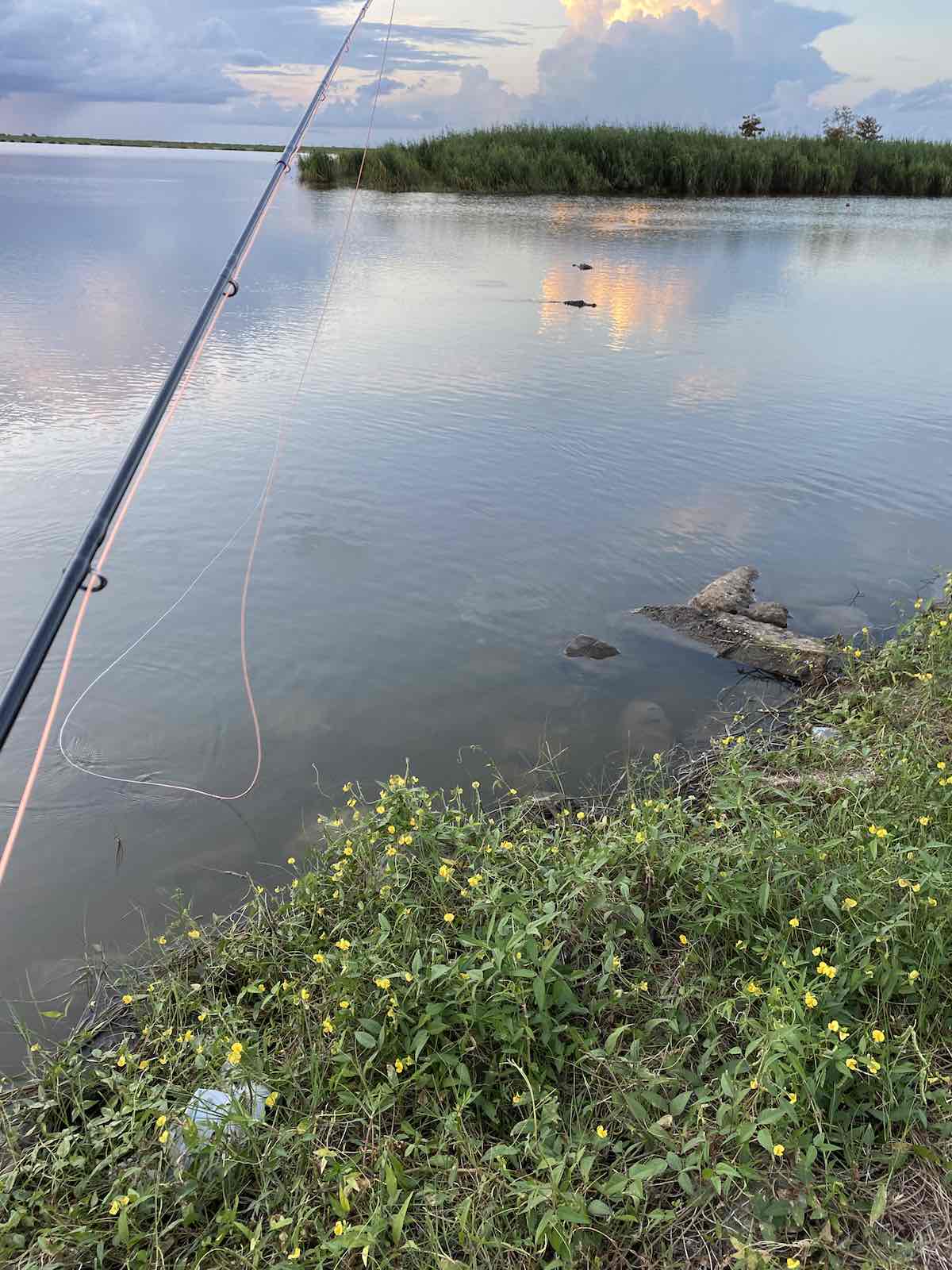 Fly Fishing for Redfish Tips, Tactics, and Pictures Sipping Mayflies