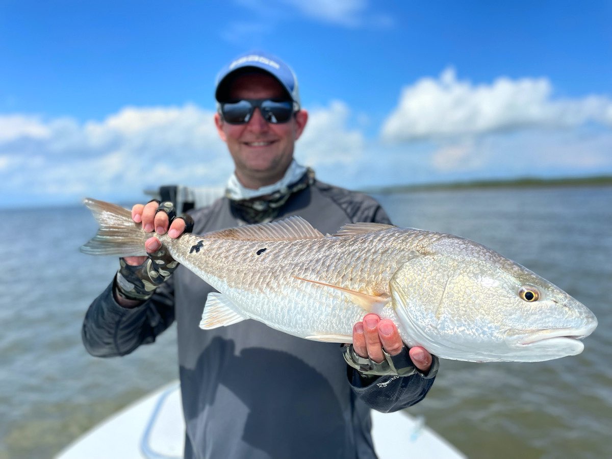 Sciaenops ocellatus red drum caught on a fly pattern