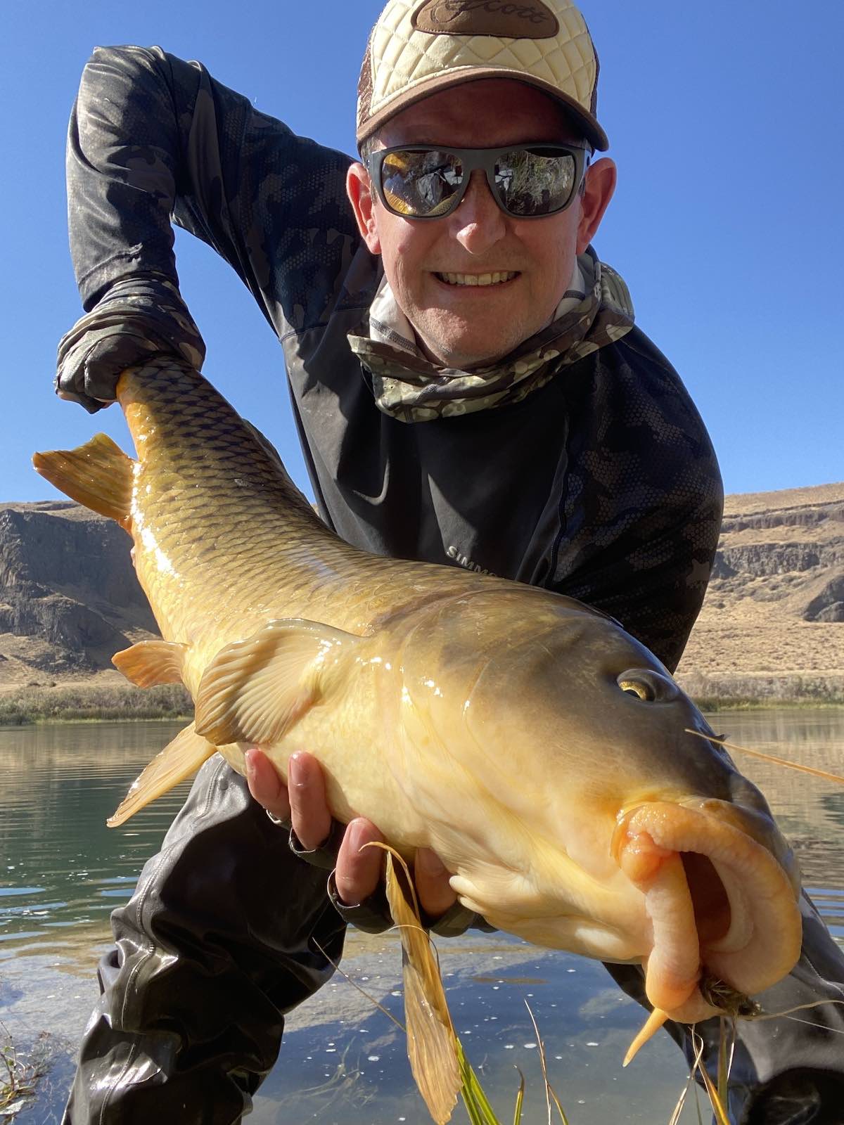 Huge common carp caught while fly fishing