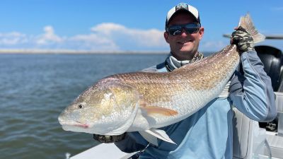 Huge redfish (red drum) caught in Louisiana on a fly