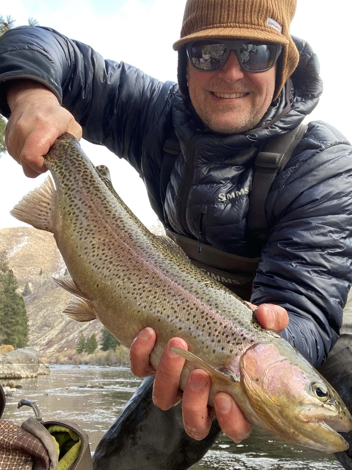 Large rainbow trout (Oncorhynchus mykiss) caught with a fly