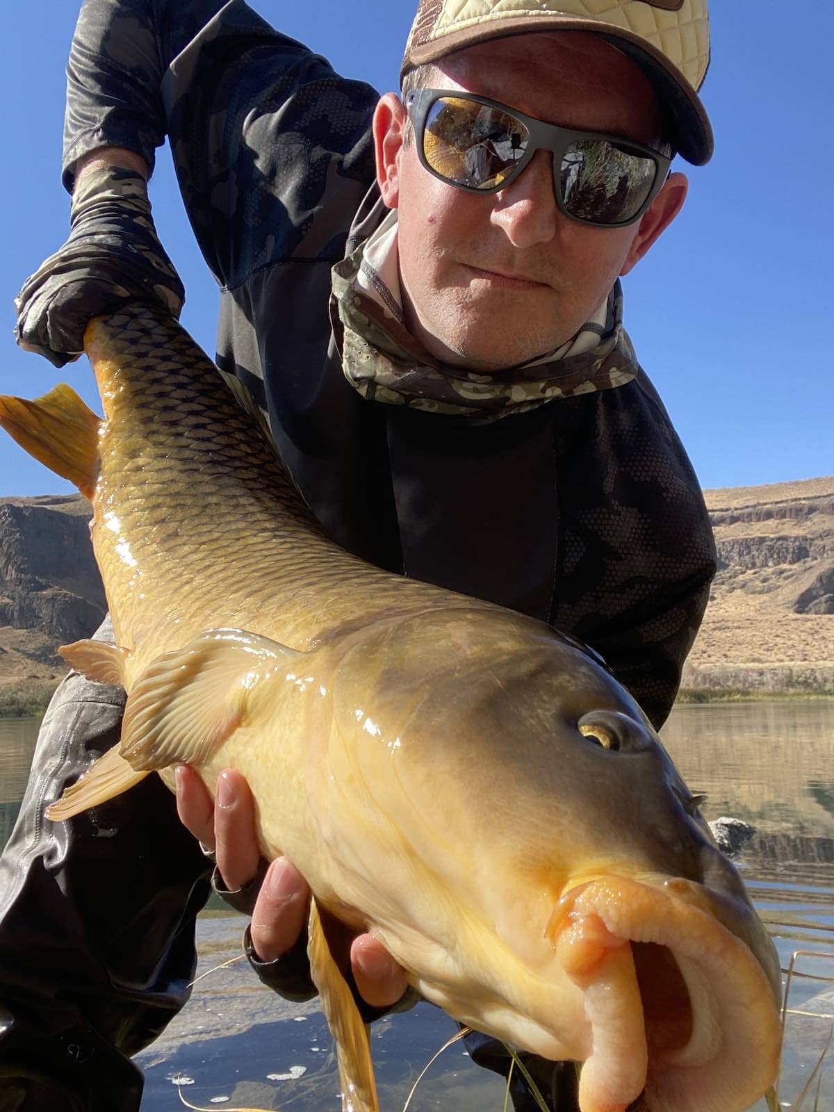 Fighting and landing giant carp on fly rod
