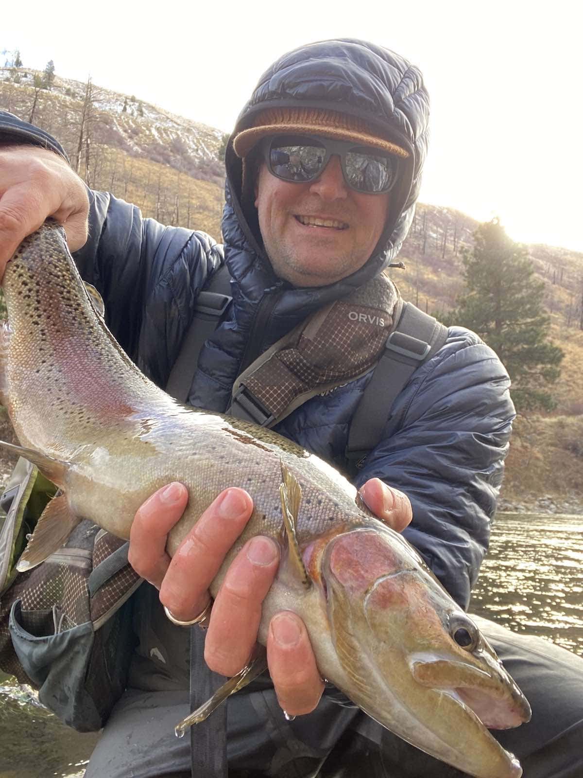 Large rainbow trout landed with net