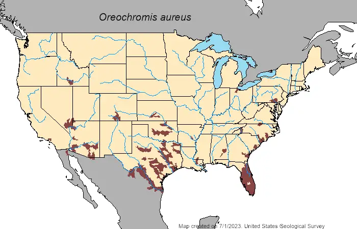 Blue tilapia (Oreochromis aureus) US range map