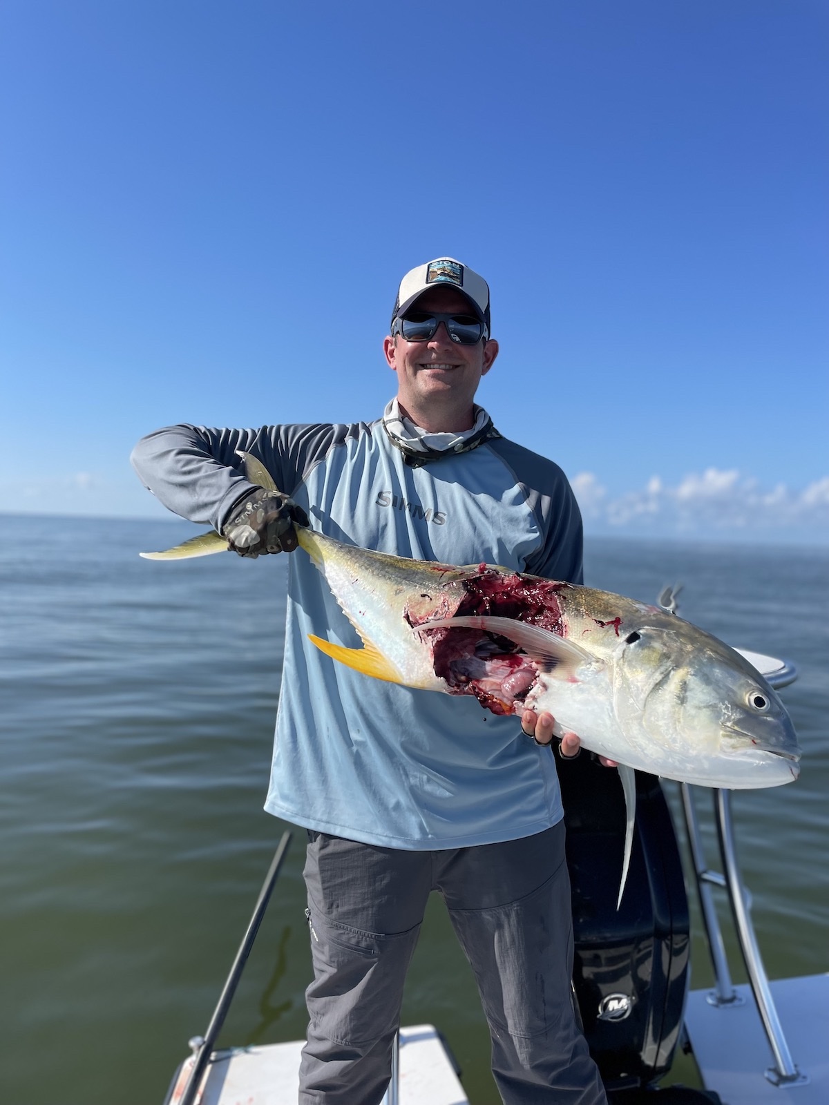 Crevalle jack caught on fly attacked by shark at side of boat