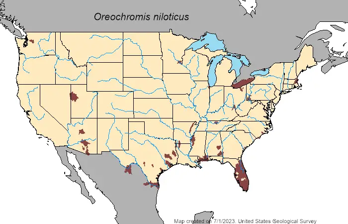 Nile tilapia (Oreochromis niloticus) US range map