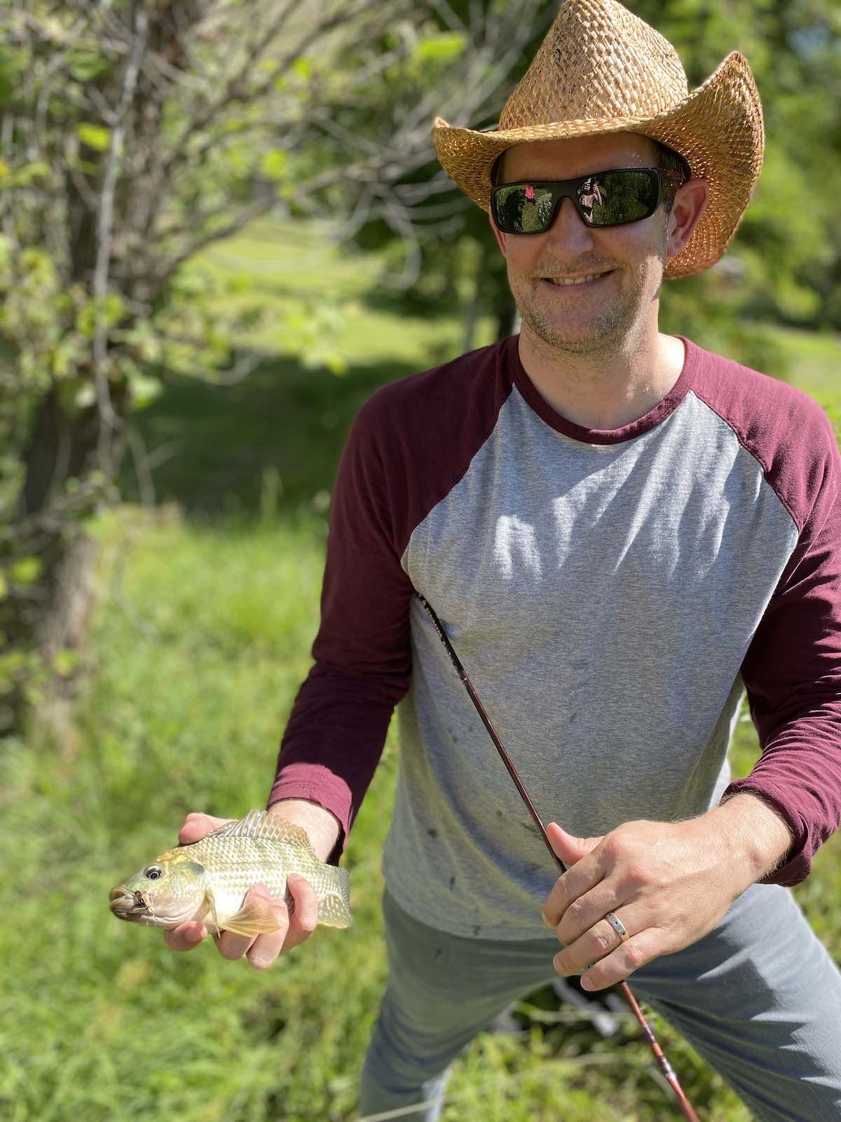 Blue tilapia (Oreochromis aureus) caught with hopper pattern