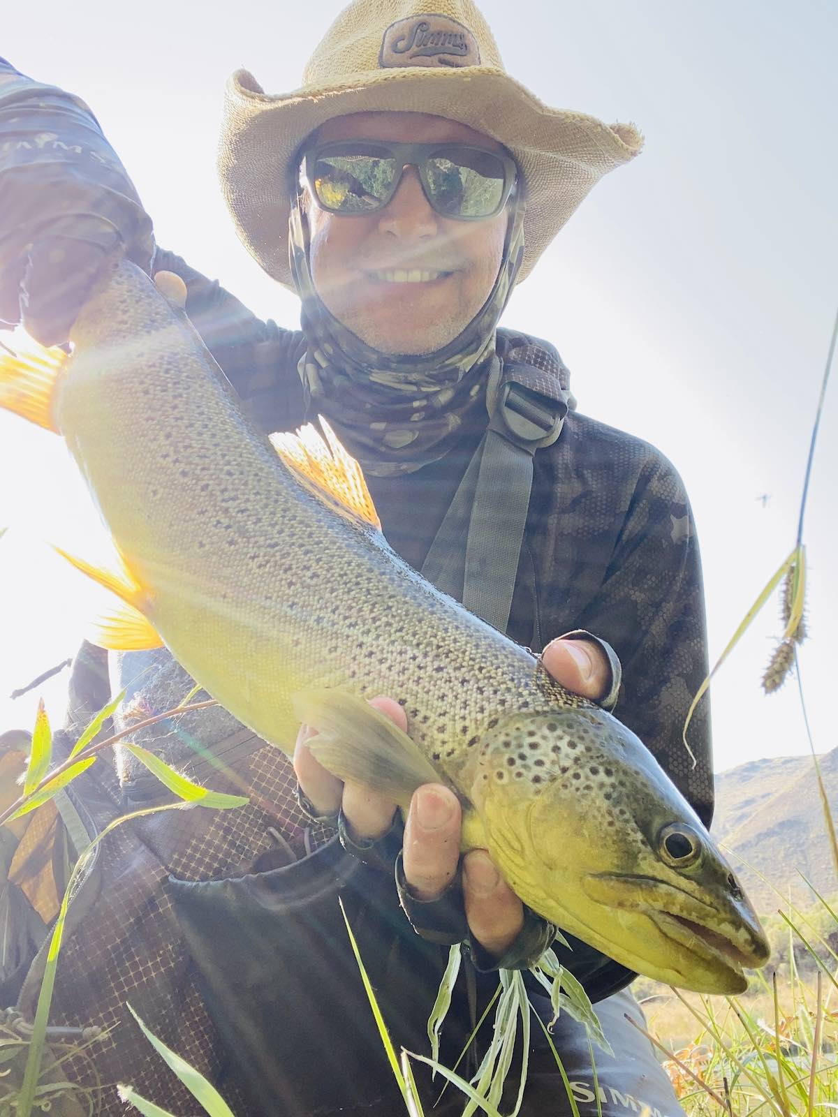 22-inch brown trout caught fly fishing with PMD pattern