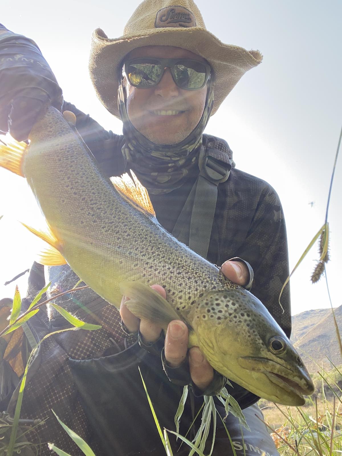 Brown trout caught in river during July