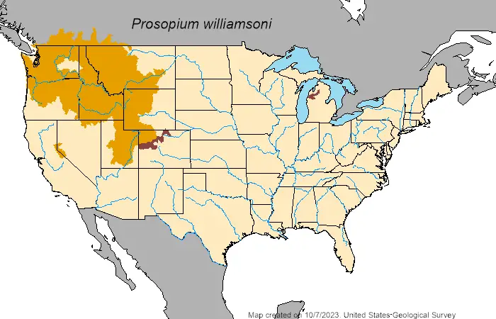 Mountain whitefish (Prosopium williamsoni) distribution map