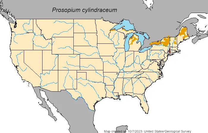 Round whitefish (Prosopium cylindraceum) distribution map