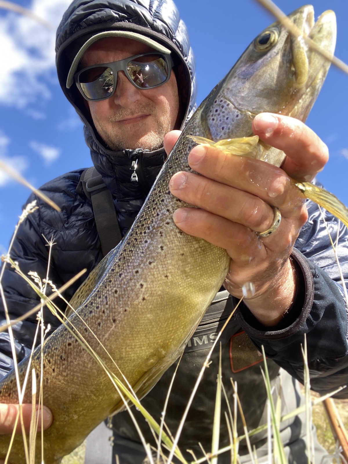 Large brown trout caught on bwo pattern in October