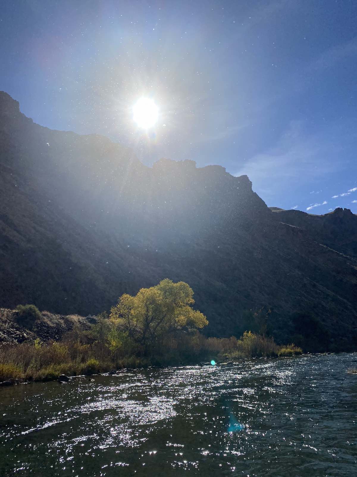 Blue-winged olive (BWO) hatch cloud on the river