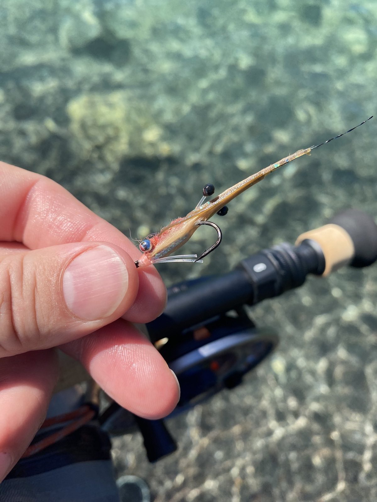 The best fly for catching cornetfish