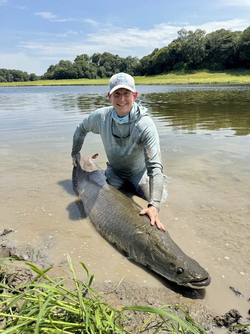 Arapaima caught on the fly at pirarucu lodge in Brazil